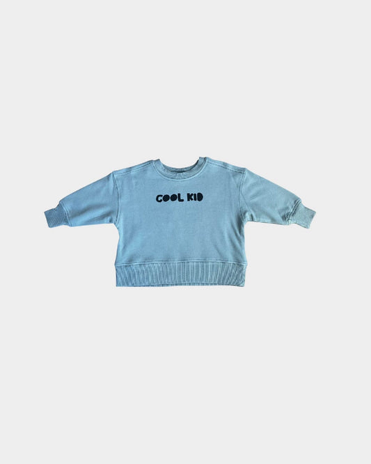 Babysprouts infant & kids boxy sweatshirt